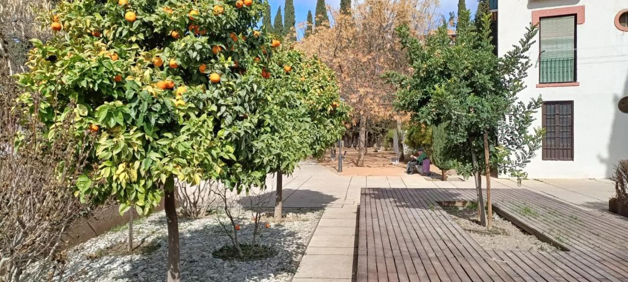 דירות גרנדה Casa Lisa - Centro - Realejo מראה חיצוני תמונה